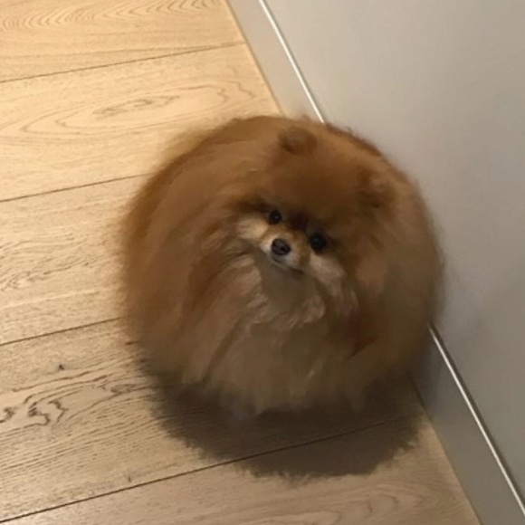 Meet your Posher, J - Picture 1 of 1